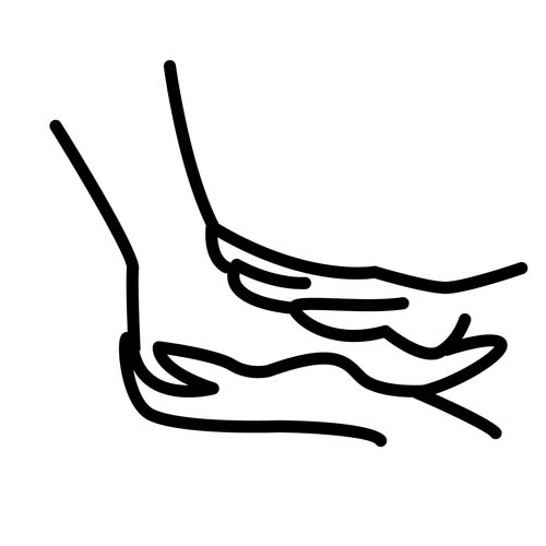 Podologie Beate Hutter